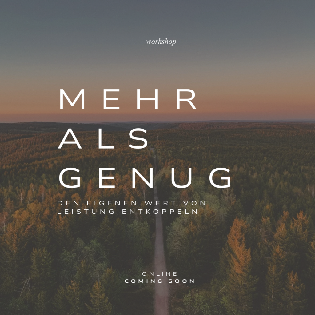 Workshop "Mehr als genug"